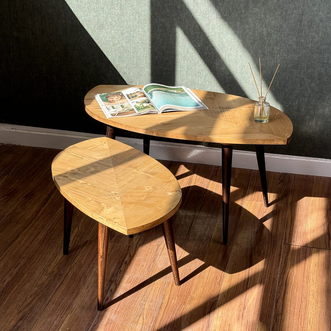 modern-orta-sehpa-modern-ve-minimal-dizayn-furnitreasure-vornom