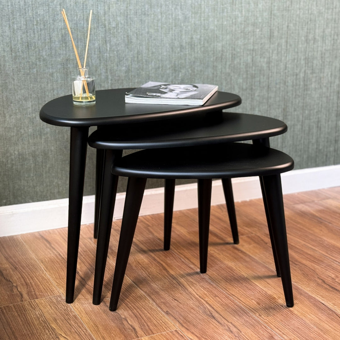 Zigon sehpa seti ic ice gecirilmis mat siyah sehpa takimi vornom